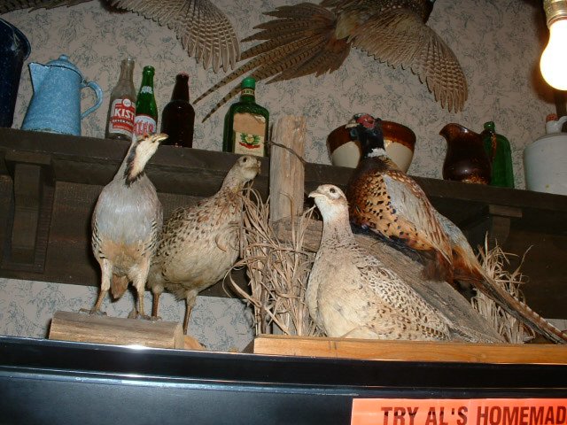 dscf0018.jpg