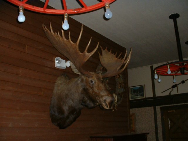 dscf0019.jpg