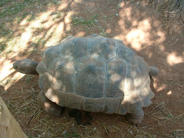 dscf0023.jpg