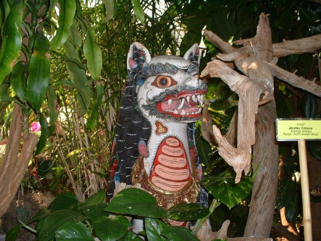 dscf0027.jpg