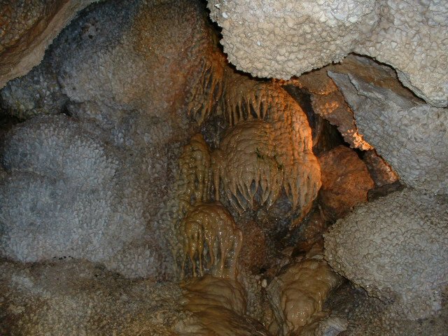 dscf0035.jpg