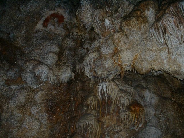 dscf0036.jpg