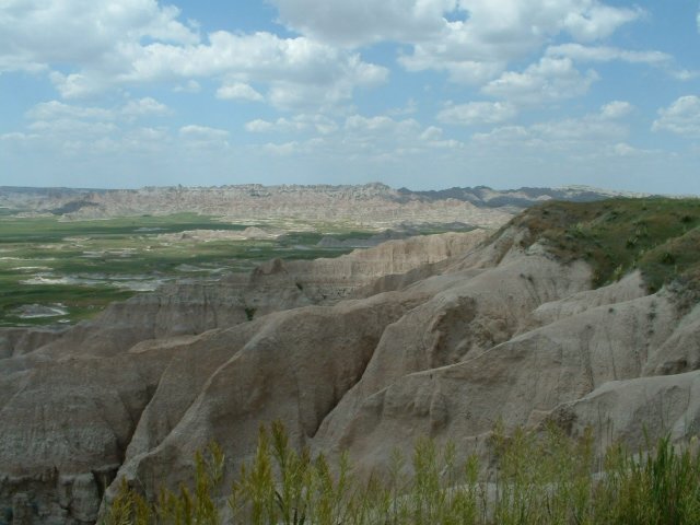 dscf0046.jpg